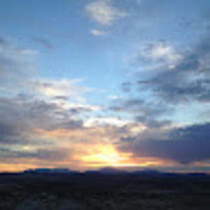 Meet your Posher, Suzannah